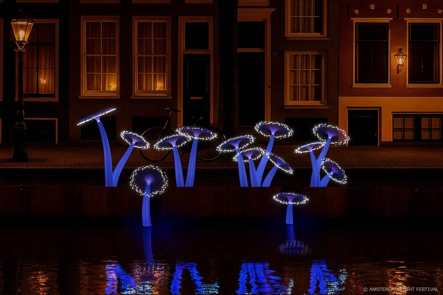 Amsterdam: Light Festival (semi) open boot - drankjesoptie