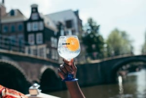 Amsterdam: Luxury Cruise Unlimited Cocktails & Snacks Option