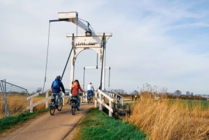 Amsterdam: Mike's Countryside Bike Tour, Windmill and Cheese