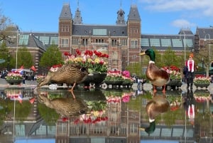 Amsterdam: tour delle attrazioni principali della città in e-bike con Mike