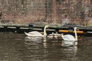 Amsterdam: tour delle attrazioni principali della città in e-bike con Mike