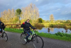 Amsterdam: tour delle attrazioni principali della città in e-bike con Mike