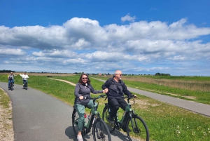 Amsterdam: Mike's Windmills E-Bike Tour zur Zaanse Schans