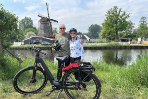 Amsterdam: Mike's Windmills E-Bike Tour zur Zaanse Schans