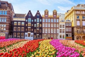 Amsterdam: Måste-se-sevärdheter Guidad vandringstur