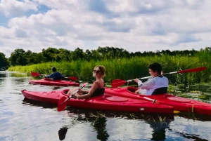 Amsterdam: Nature Reserve Kayak & Giethoorn Boat Ride