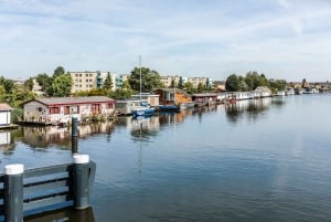 Amsterdam-Noord: 3-Hour Private Walking Tour