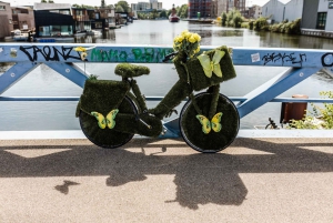 Amsterdam-Noord: 3-Hour Private Walking Tour