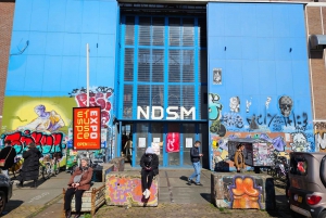 Amsterdam: tour in bici nel nord di Amsterdam