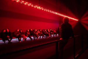 Amsterdam: Inträdesbiljett till Nxt Museum-utställningen