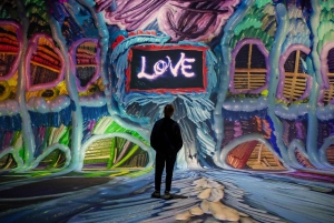 Amsterdam: Inträdesbiljett till Nxt Museum-utställningen