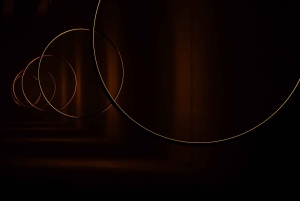 Amsterdam: Inträdesbiljett till Nxt Museum-utställningen