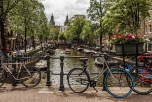 Amsterdam: Abseits der ausgetretenen Pfade gelegene Viertel Private Tour