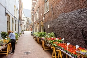 Amsterdam Old Town Highlights Private Guided Walking Tour