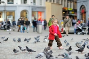 Amsterdam Old Town Highlights Privat tur og krydstogtbilletter