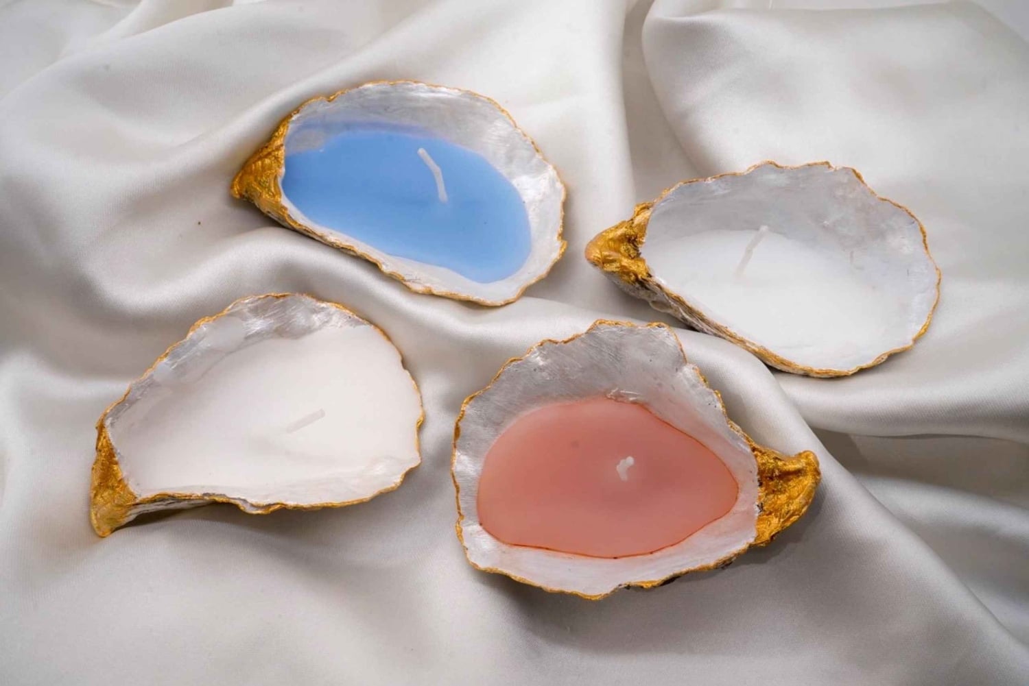 Amsterdam: laboratorio artistico con ostriche in una casa sul canale