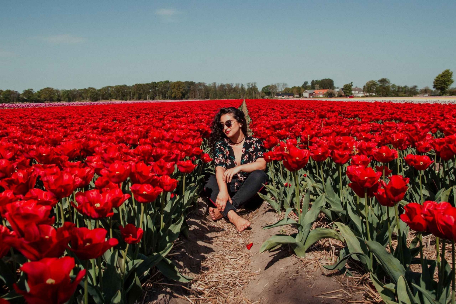 Amsterdam: Personal Photographer Tulip Fields Photo Shoot