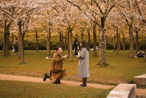 Fotograf i Amsterdam: Privat fotosession med frieri