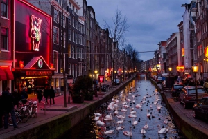 Amsterdam: Photography Masterclass - Private Photo Lesson