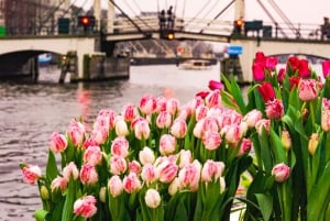 Amesterdão: Passeio de barco Premium no Canal das Tulipas