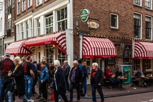 Amsterdam: Privat ost og øl tur