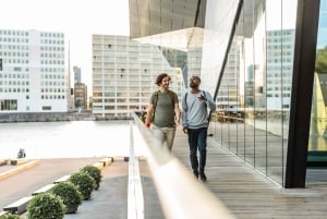 Amsterdam: Privat ost og øl tur