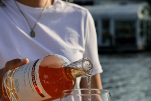 Amsterdã: Cruzeiro privado pelo canal da cidade