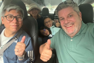 アムステルダムプライベートグリーンツアー!風車、城