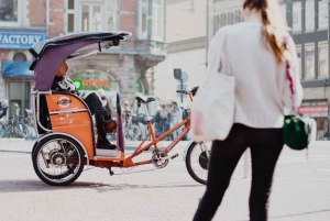 Amsterdam: Private Guided City Tour by Pedicab