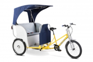 Amsterdam: Private Guided City Tour by Pedicab