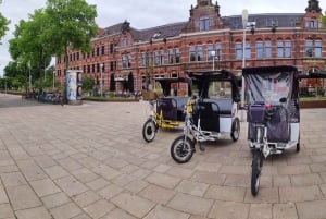 Amsterdam: Private Guided City Tour by Pedicab