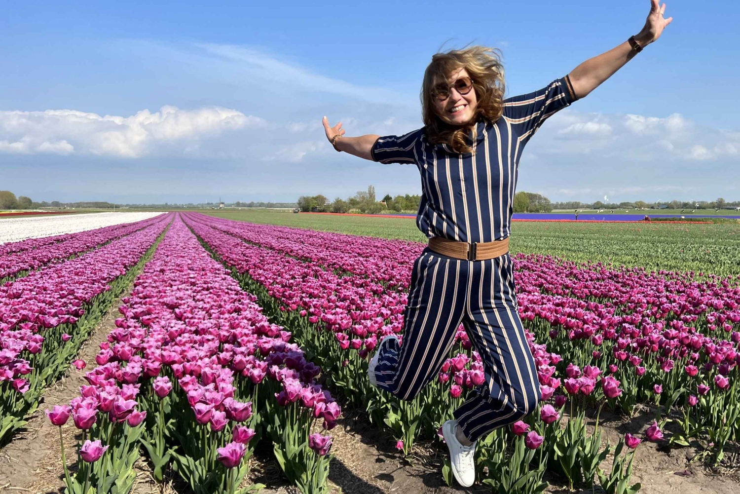 Amsterdam:Tour privado no turístico de los Tulipanes y los Molinos de Viento