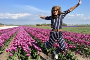 Amsterdam:Private guided Non Touristic Tulip & Windmill tour