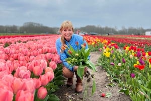 Amsterdam:Private guided Non Touristic Tulip & Windmill tour