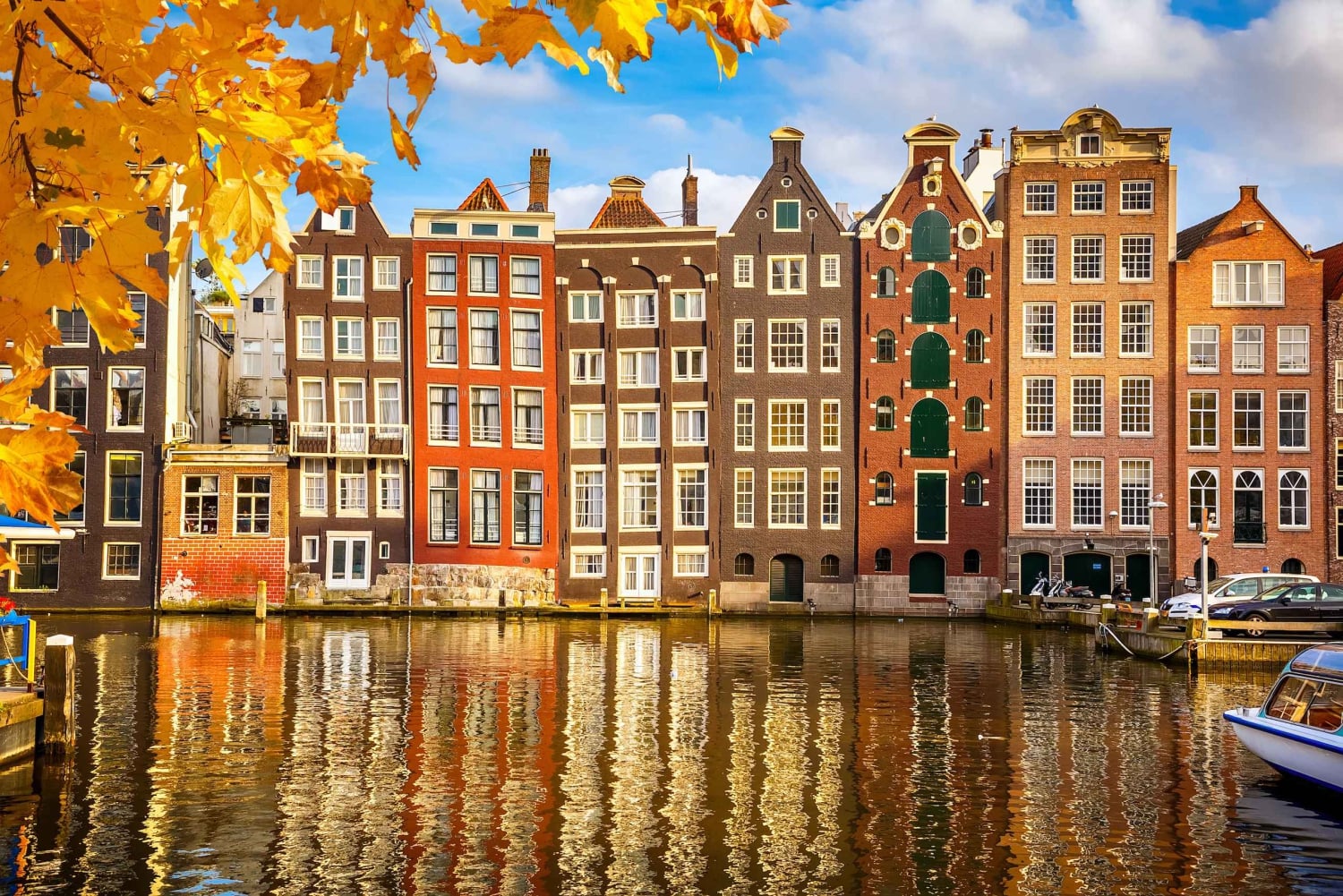 Amsterdam: Privat guidad tur till fots