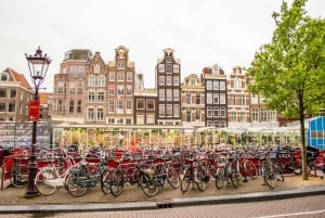 Amsterdam: Privat guidet tur til fods