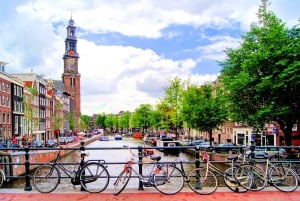 Amsterdam: Privat guidad tur till fots