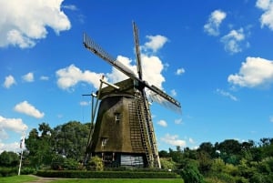 Amsterdam: Private Half-Day Countryside Bike Tour