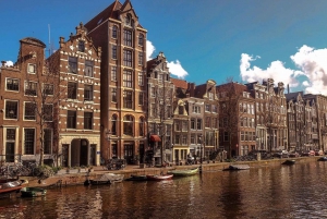 Amsterdam: Tour privato di mezza giornata con un abitante del luogo