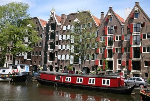 Amsterdam: Private Half-Day Walking Tour