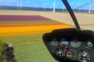 Amsterdam: Private Helicopter Tulip tour from Heliport AMS