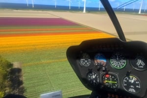 Amsterdam : Tour des tulipes en hélicoptère privé depuis l'héliport AMS