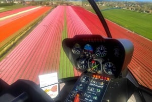 Amsterdam : Tour des tulipes en hélicoptère privé depuis l'héliport AMS