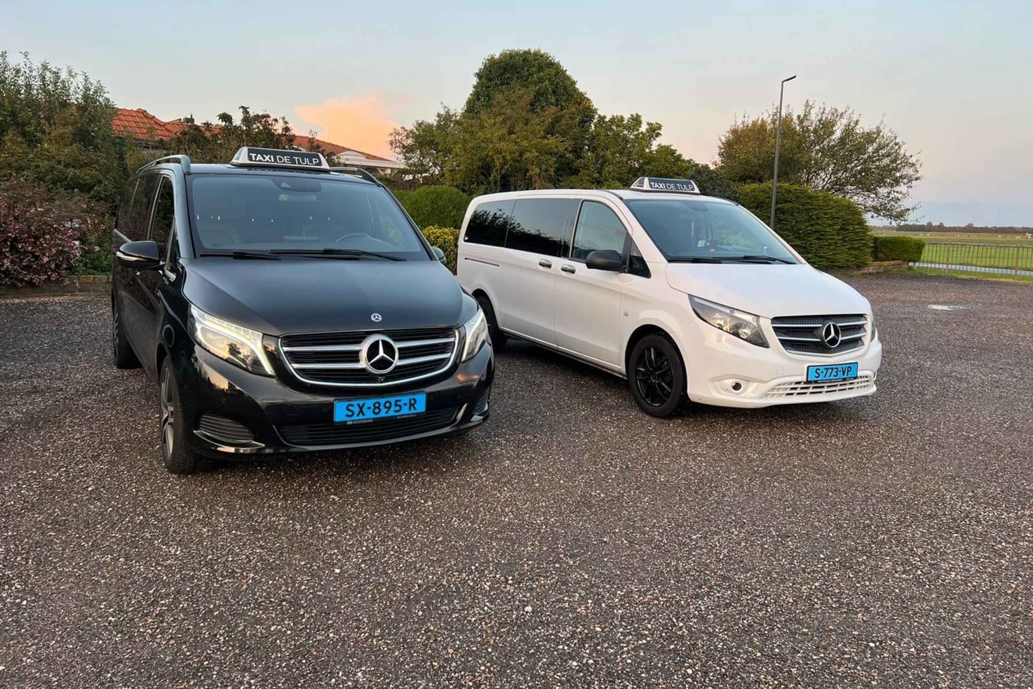 Amsterdam: Prywatna wycieczka po Keukenhof i bezpłatna wycieczka po tulipanach