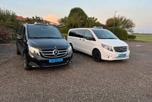 Amsterdam: Prywatna wycieczka po Keukenhof i bezpłatna wycieczka po tulipanach