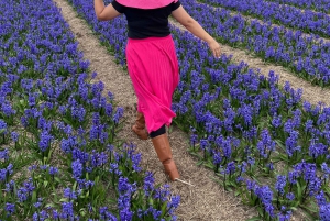 Amsterdam: Prywatna wycieczka po Keukenhof i bezpłatna wycieczka po tulipanach