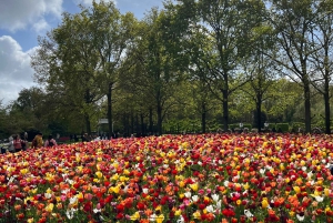 Amsterdam: Prywatna wycieczka po Keukenhof i bezpłatna wycieczka po tulipanach