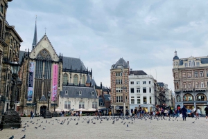 Amsterdam: Private or Public Walking Tour