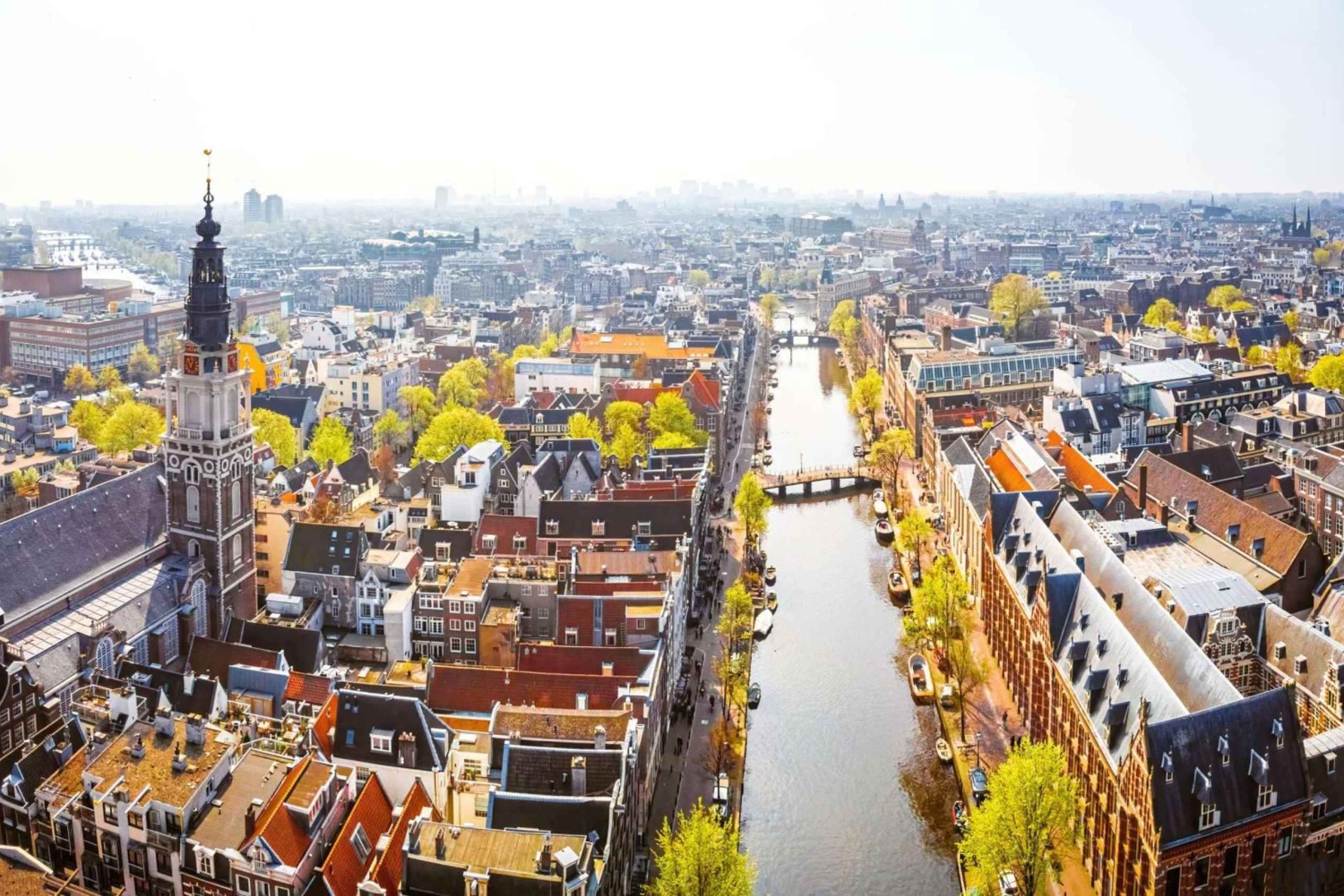 Amsterdam : Visite privée du Rijksmuseum avec prise en charge optionnelle