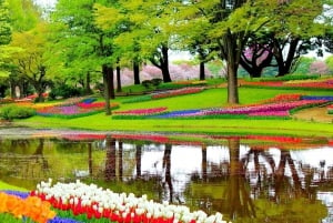 Amsterdam: Private Sightseeing Tour Keukenhof